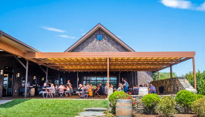 Newport Vineyard